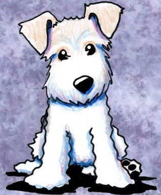 Підростають щенята цвергшнауцера забарвлення біле.